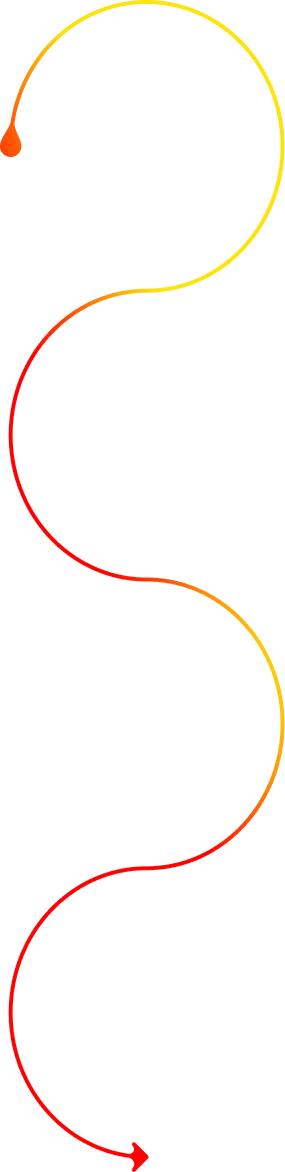 Timeline path